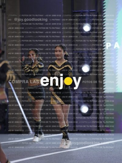 Joy Pnlsm 076