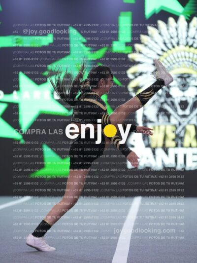 Joy Pnlsm 077