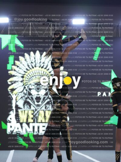 Joy Pnlsm 078