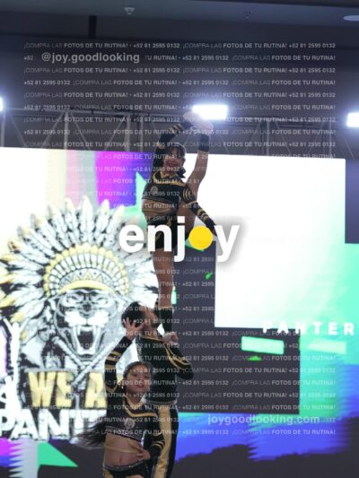 Joy Pnlsm 084