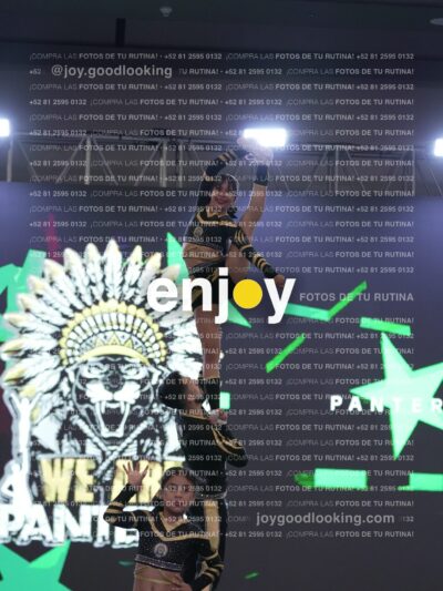 Joy Pnlsm 085