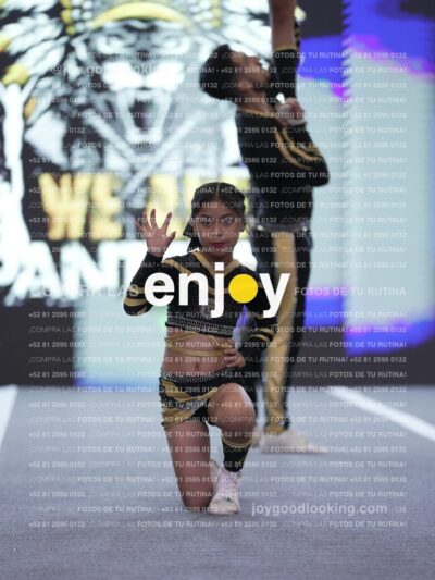 Joy Pnlsm 087