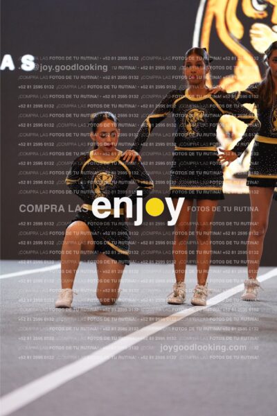 Joy Pp2 003