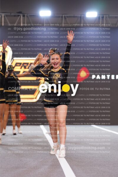 Joy Pp2 033