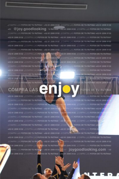 Joy Pp2 134