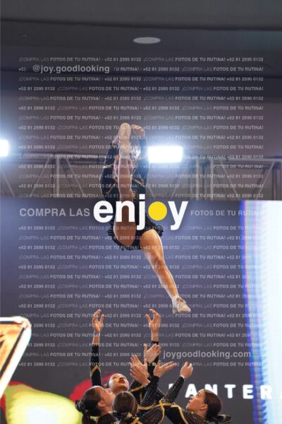 Joy Pp2 135