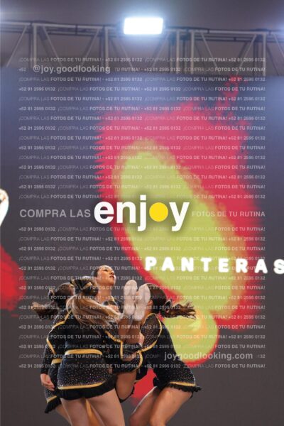 Joy Pp2 140