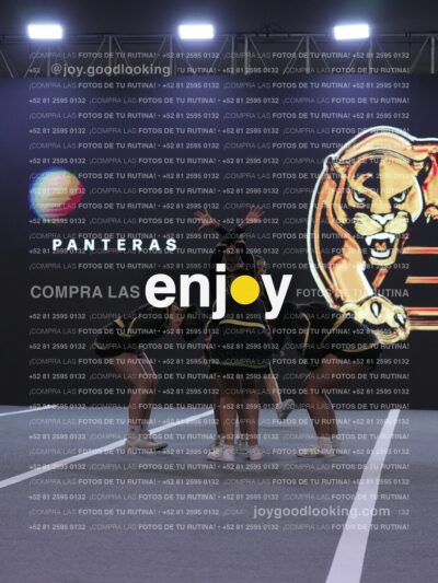 Joy Pp2 216