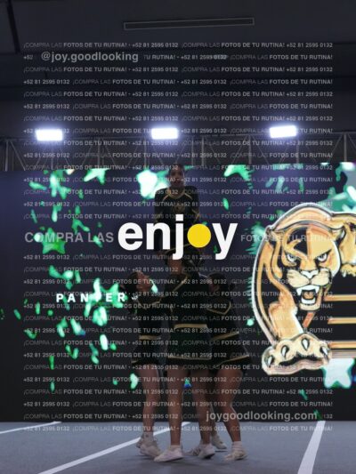 Joy Pp2 220