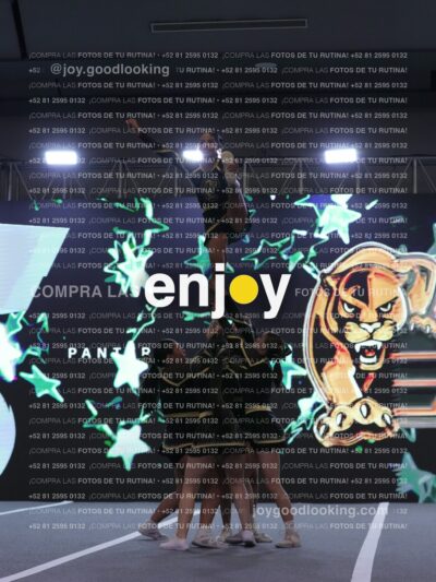 Joy Pp2 228