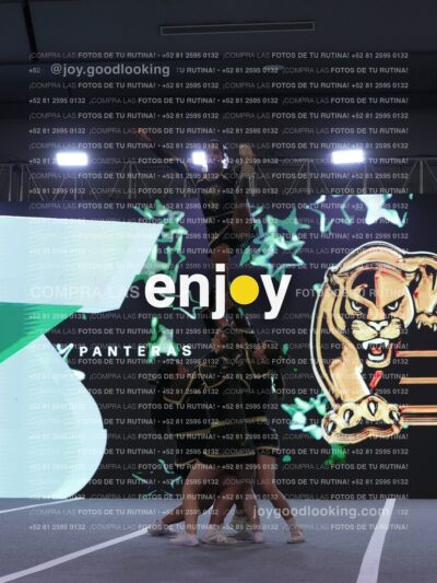Joy Pp2 231