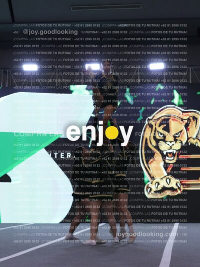 Joy Pp2 233