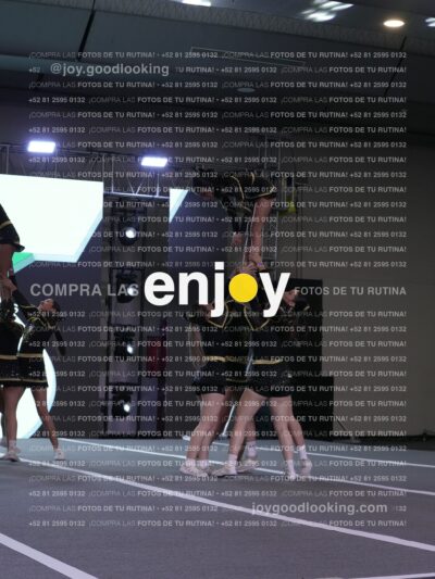Joy Pp2 243