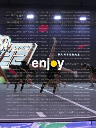 Joy Pp2 264