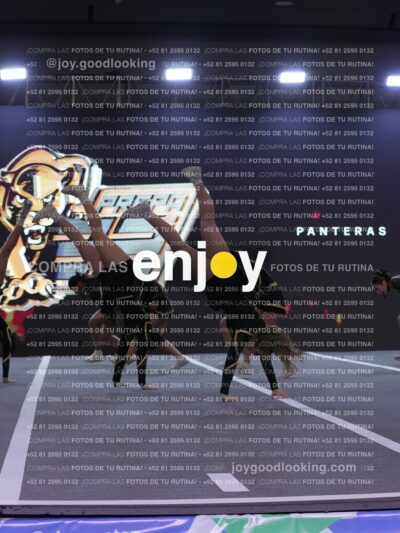 Joy Pp2 265