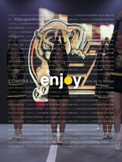 Joy Pp2 289