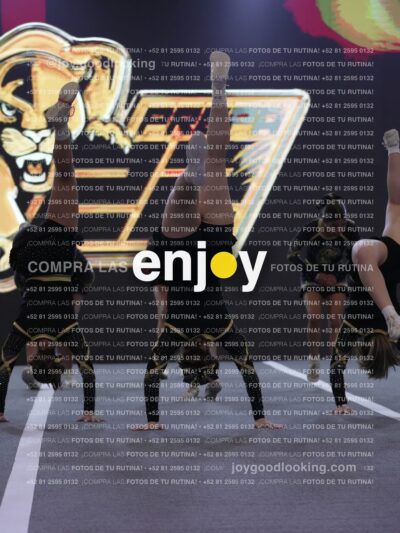 Joy Pp2 298
