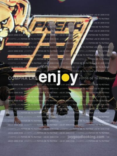 Joy Pp2 301