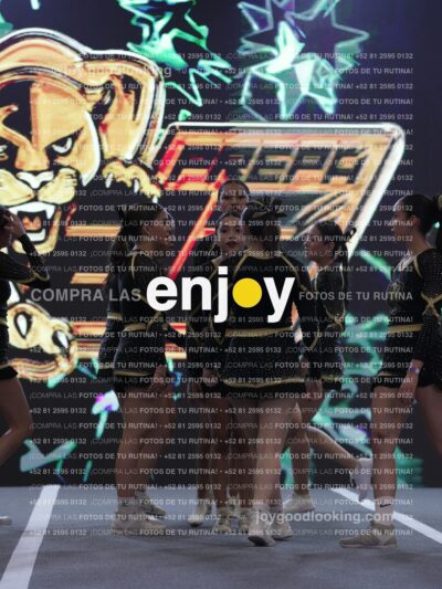 Joy Pp2 310