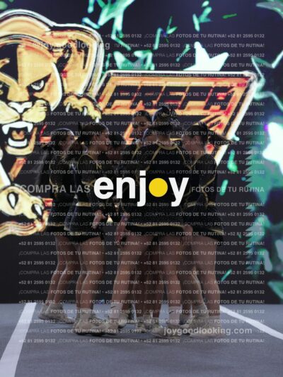 Joy Pp2 315