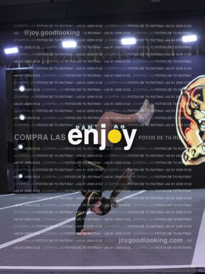 Joy Pp2 320