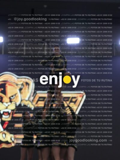 Joy Pp2 324