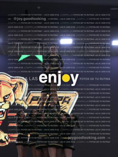 Joy Pp2 325