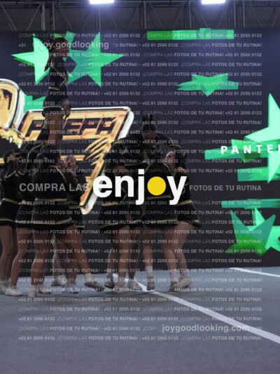 Joy Pp2 336