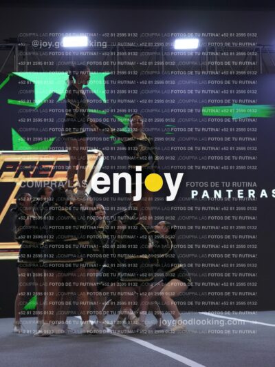 Joy Pp2 348