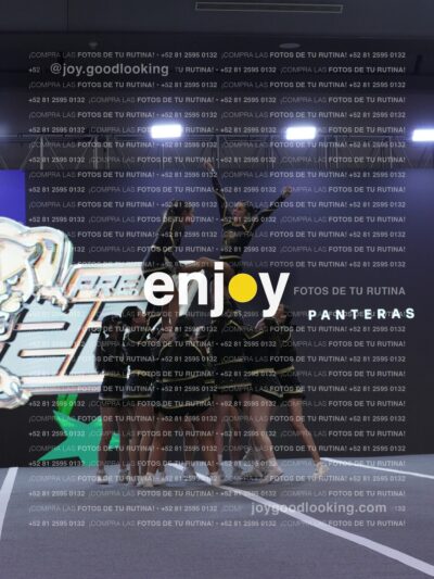 Joy Pp2 356