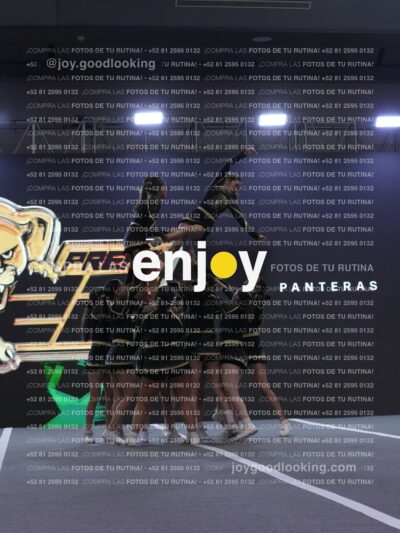 Joy Pp2 357