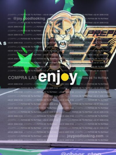 Joy Pp2 396