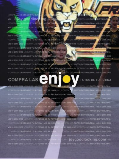 Joy Pp2 397