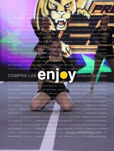 Joy Pp2 398