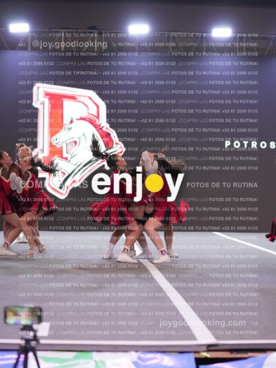 Joy Ps 055