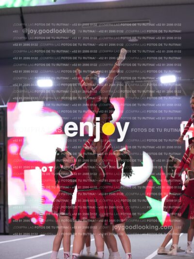 Joy Ps 104