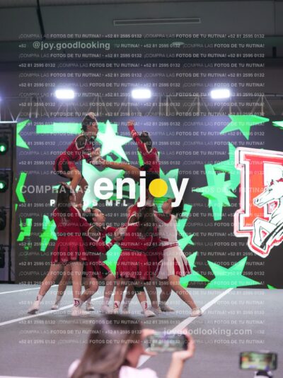 Joy Ps 145