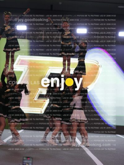 Joy Pssf 101