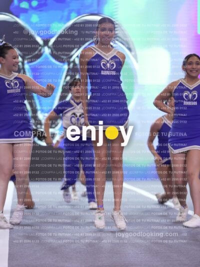 Joy Ptmpm 133