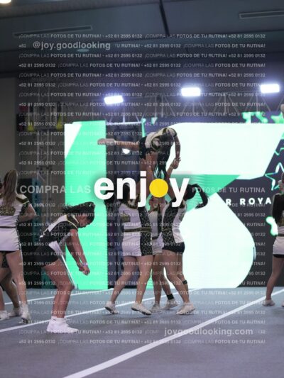 Joy Qsf 088