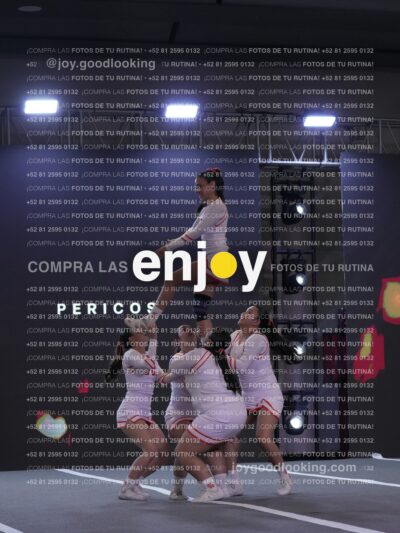 Joy Rjc 209