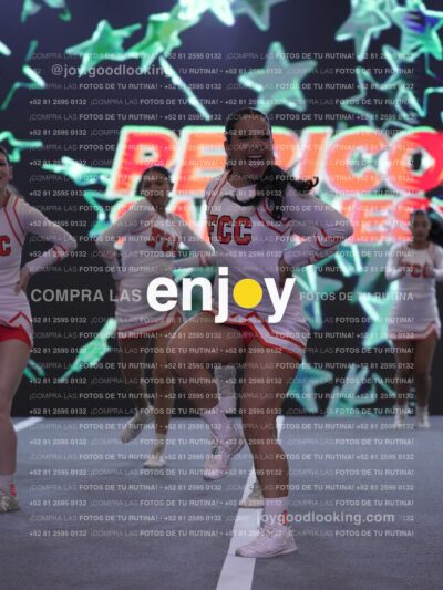 Joy Rjc 240