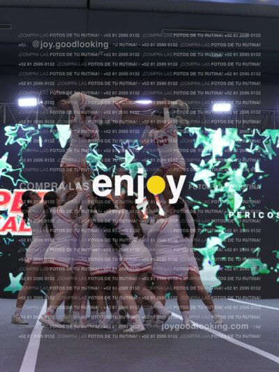 Joy Rjc 291