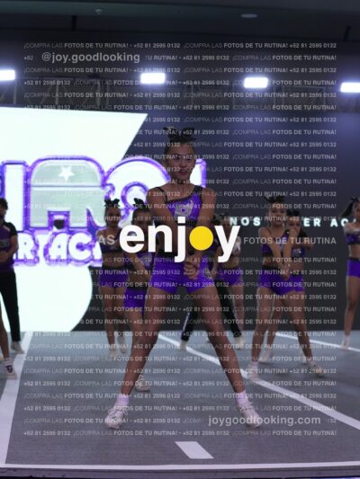 Joy Rjc 391