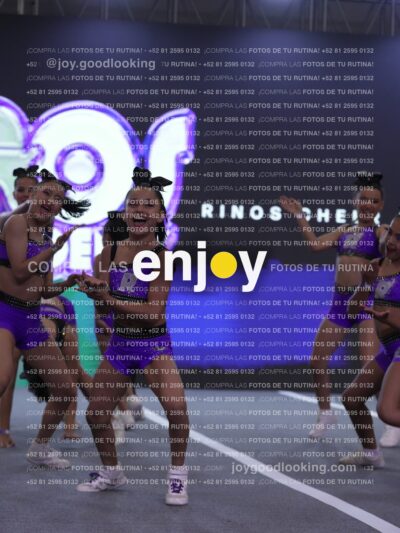 Joy Rjc 452