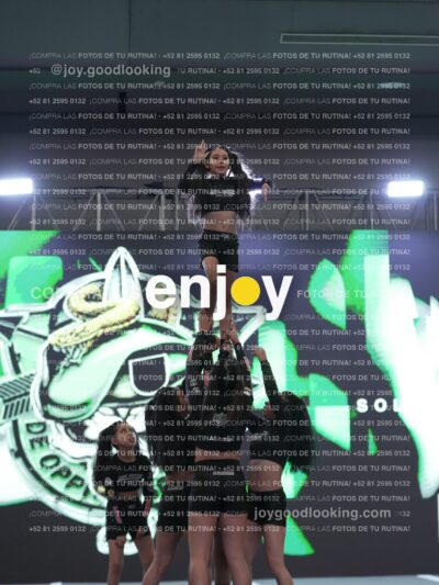 Joy Rsf 035