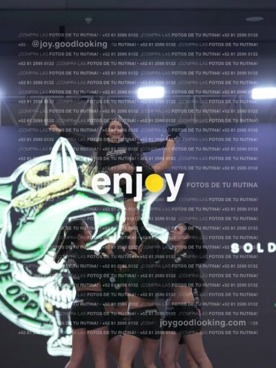 Joy Rsf 040