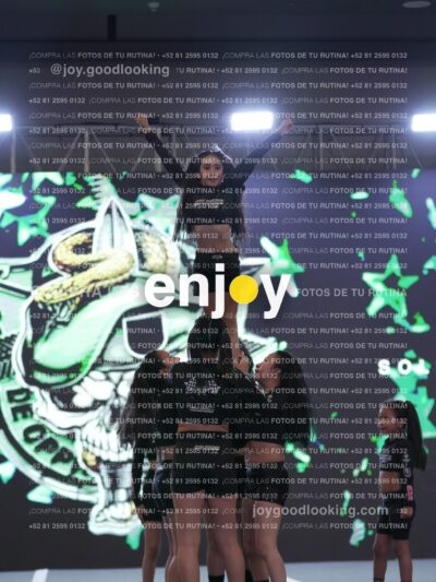 Joy Rsf 047