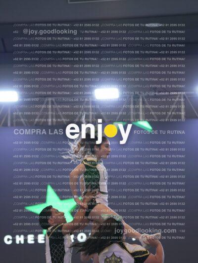 Joy Rsm 102