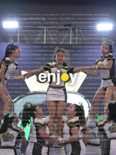 Joy Rsm 142